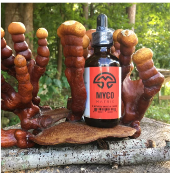 Mycomatrix Reishi Adaptogenic Mushroom Extract