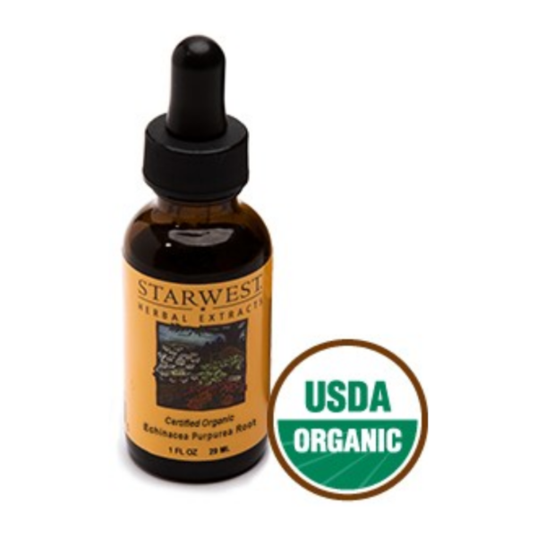 Echinacea Purpurea Root Extract Organic